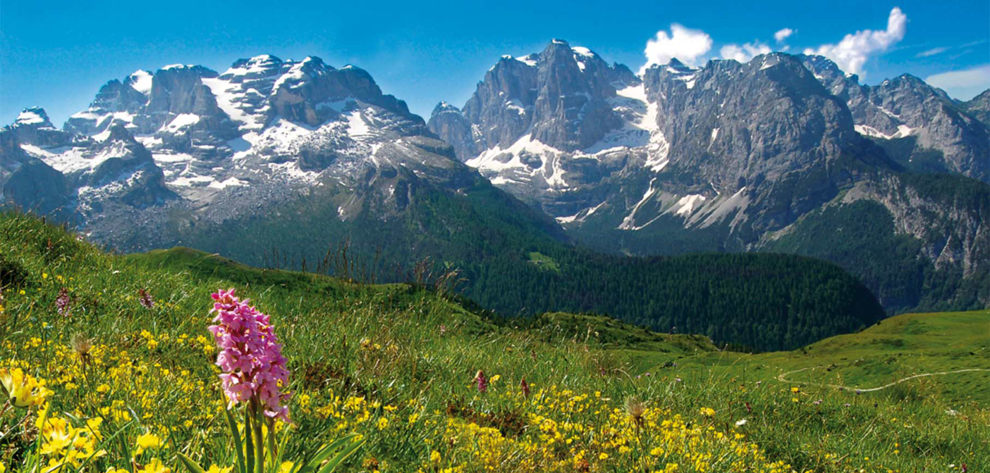 Lo Splendore Della Natura E La Preghiera Santalessandro